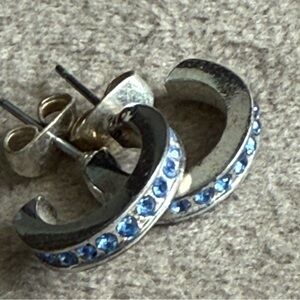 Elegant Silver and Blue Crystal Earrings